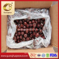 Hot Sale Chinese Dried Date New Crop